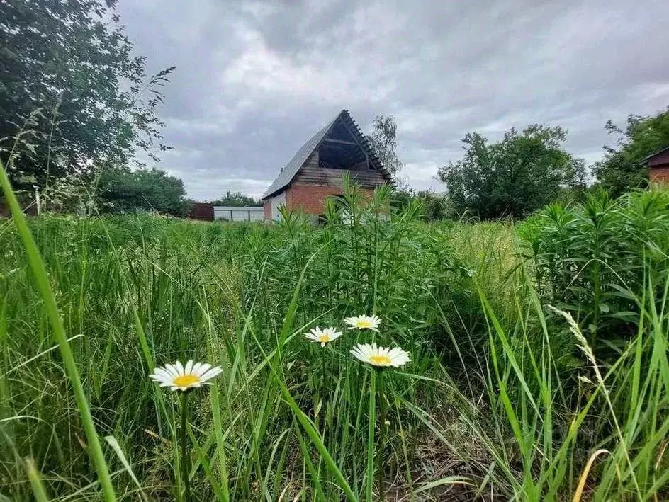 Дом в Воронежская область, Воронеж Дон СНТ, ул. Кулинарная, 45 (56 м) - Фото 0