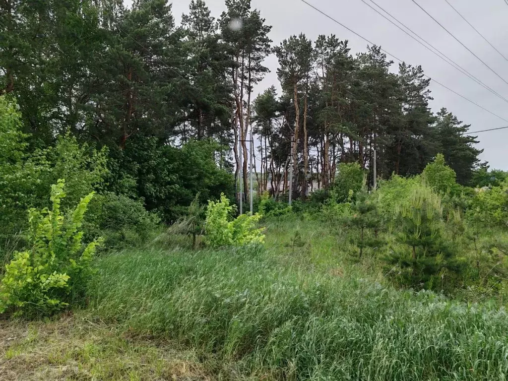 Участок в Орловская область, Орловский район, д. Нижняя Лужна, ... - Фото 1