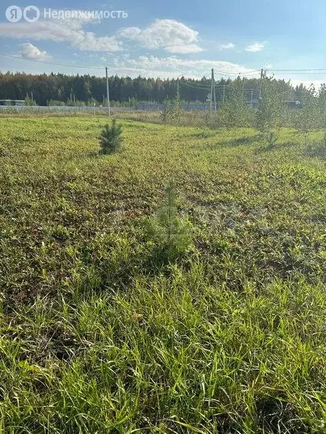 Участок в Тюменский район, село Кулига, коттеджный посёлок Заповедный ... - Фото 0