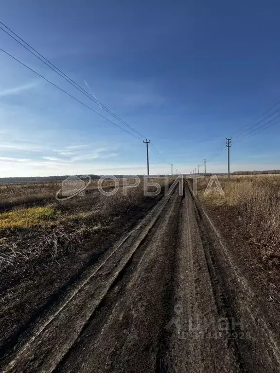Участок в Тюменская область, Тюменский муниципальный округ, с. ... - Фото 2