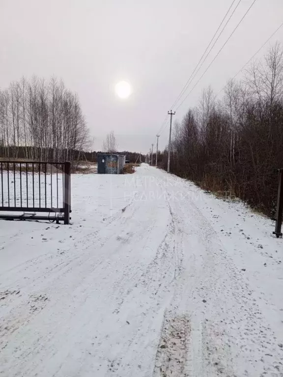 Участок в Тюменская область, Нижнетавдинский муниципальный округ, ... - Фото 1