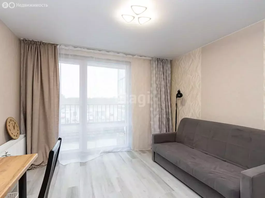 Квартира-студия: деревня Патрушева, улица Александра Пушкина, 14 (23.4 ... - Фото 1