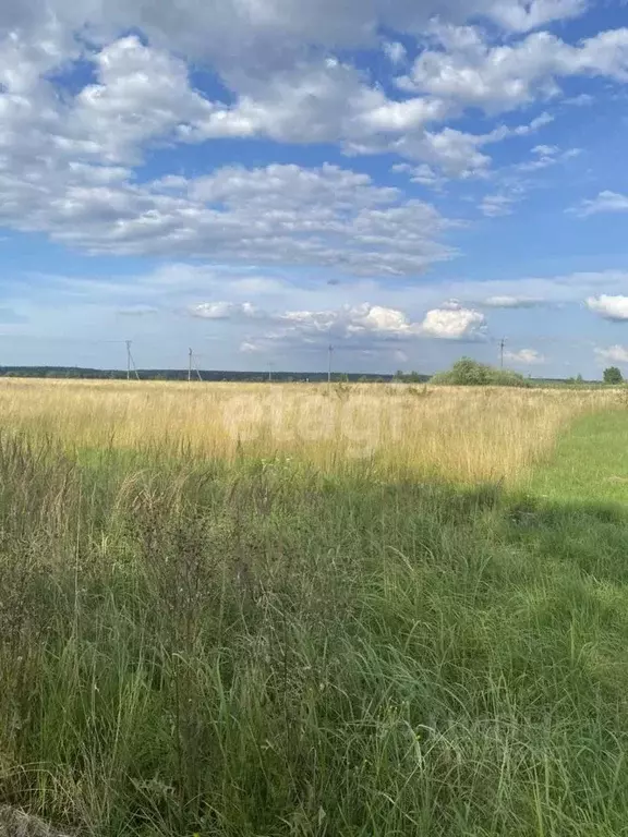 Участок в Калининградская область, Гвардейский муниципальный округ, ... - Фото 2