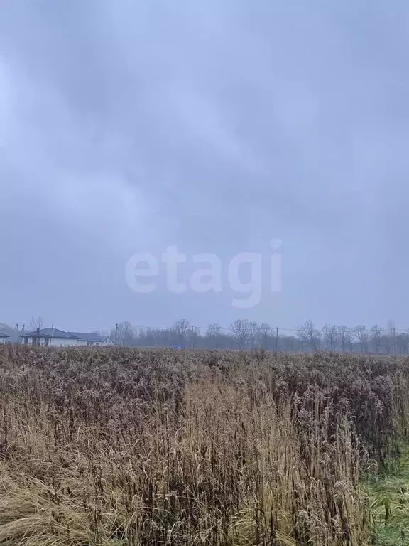 Участок в Калининградская область, Гурьевский муниципальный округ, ... - Фото 2