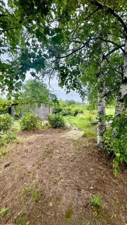 Участок в Хабаровский край, Хабаровский район, Тополевское с/пос, ... - Фото 1