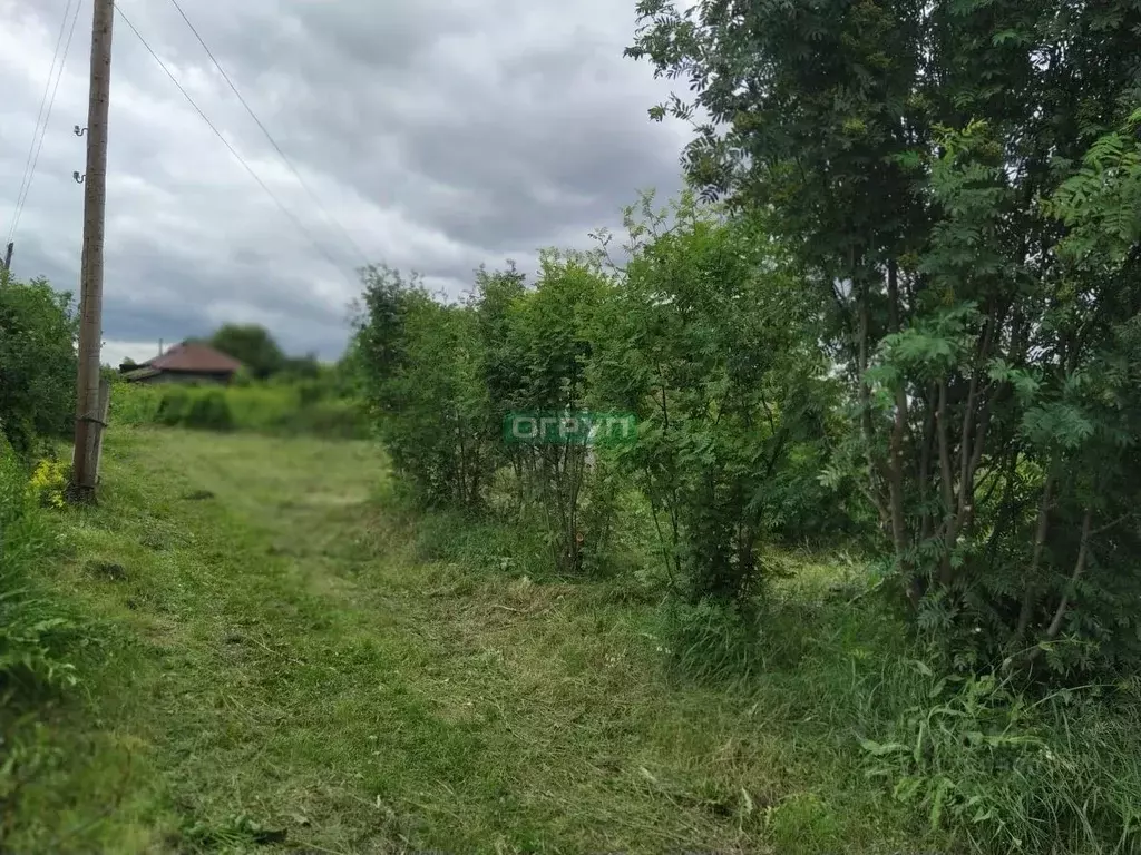 Участок в Пензенская область, Шемышейский район, с. Новый Мачим ... - Фото 2