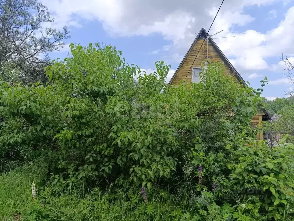 Участок в Московская область, Дмитров Родник СНТ,  (7.2 сот.) - Фото 1