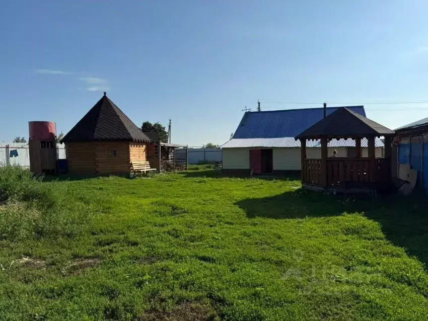 Дом в Новосибирская область, Черепановский район, с. Карагужево ... - Фото 2