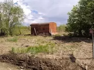Участок в Амурская область, Благовещенский район, с. Владимировка ... - Фото 0