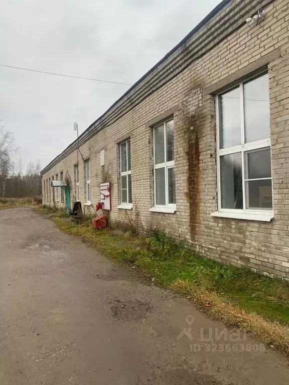 Помещение свободного назначения в Ленинградская область, Всеволожск ш. ... - Фото 1