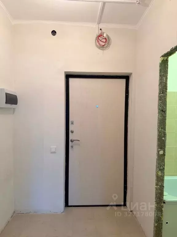 1-к кв. Московская область, Ленинский городской округ, Мисайлово пгт, ... - Фото 2