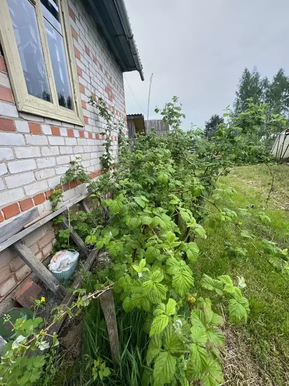 Дом в Новгородская область, Старорусский район, Новосельское с/пос, ... - Фото 2