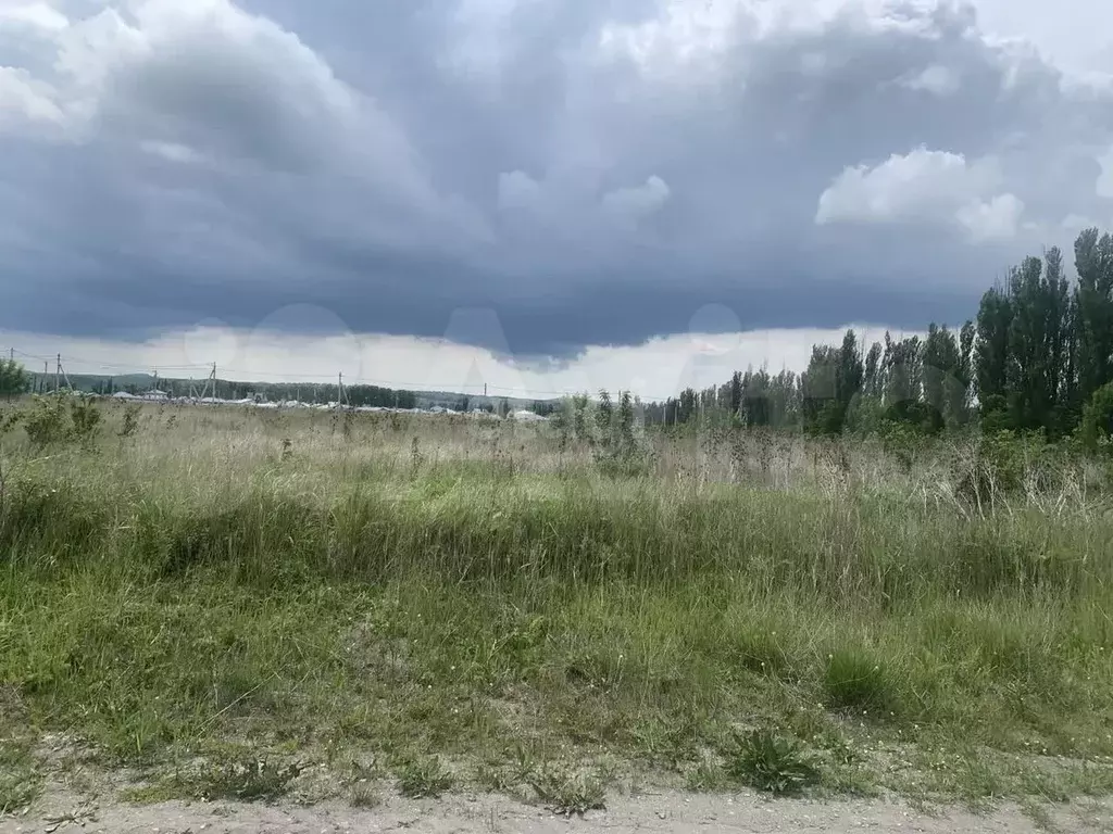 Участок 5 сот. (СНТ, ДНП) - Фото 1