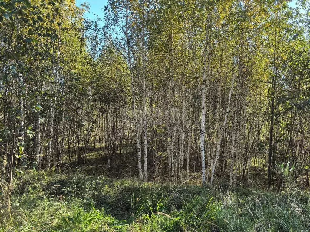 Участок в Свердловская область, Верх-Нейвинский пгт ул. Арапова, 100к6 ... - Фото 1