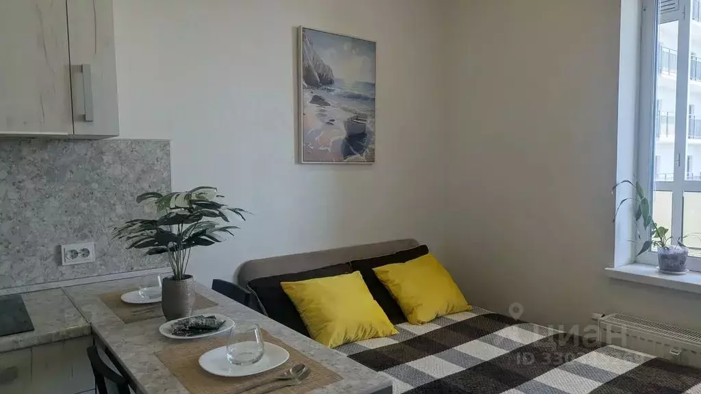 Студия Санкт-Петербург ул. Плесецкая, 14 (27.0 м) - Фото 1