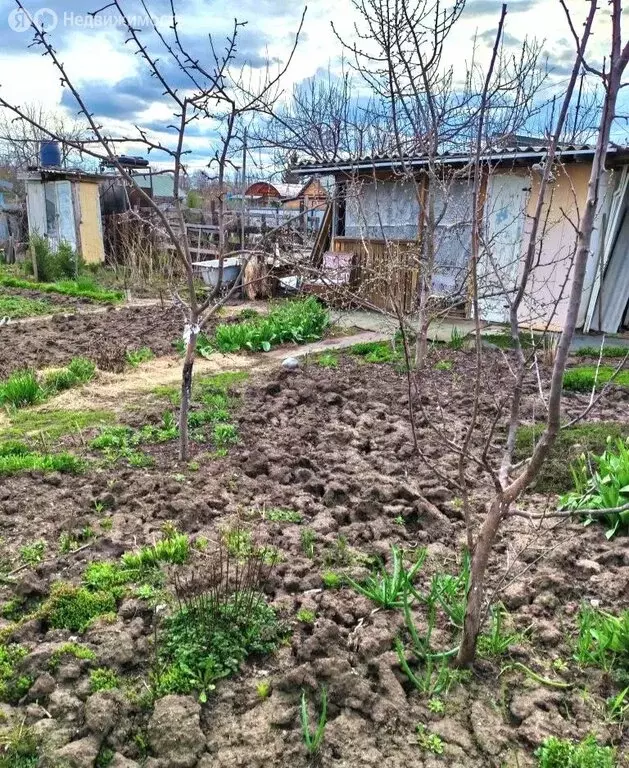 Участок в Балаково, СТ Дзержинец, 5-йпроезд (4.5 м) - Фото 2