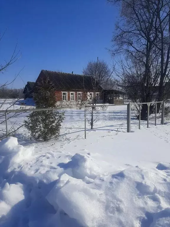 Дом в Тамбовская область, Мичуринский муниципальный округ, с. Устье ... - Фото 0