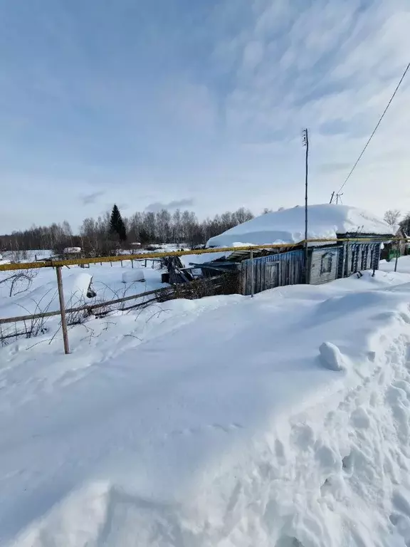 Участок в Нижегородская область, Богородский муниципальный округ, с. ... - Фото 1