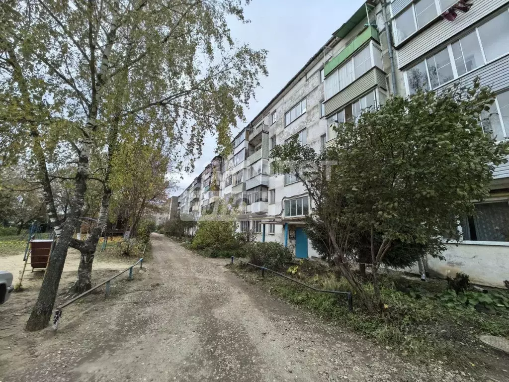 1-к кв. Владимирская область, Александров ул. Юбилейная, 16 (29.0 м) - Фото 2