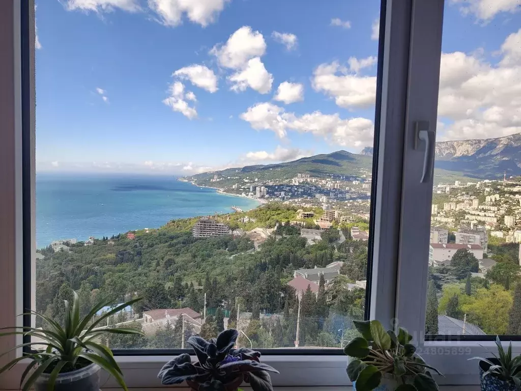 Студия Крым, Ялта муниципальный округ, Массандра пгт ул. Винодела ... - Фото 0