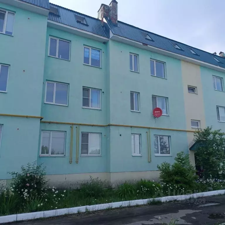 3-к кв. Пензенская область, с. Бессоновка ул. Центральная, 2К/1 (85.2 ... - Фото 1