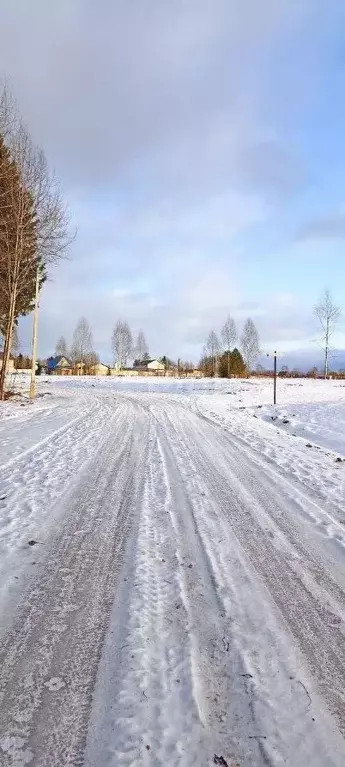 Участок в Пермский край, Добрянский городской округ, д. Залесная  ... - Фото 0