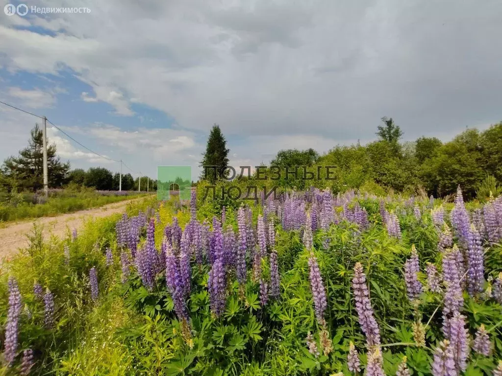 Участок в Завьяловский район, ДНТ Соловушки (10 м) - Фото 0