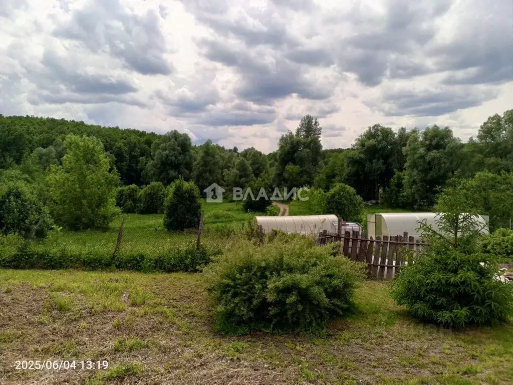 Участок в Нижегородская область, Богородский муниципальный округ, д. ... - Фото 2