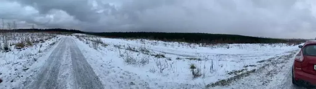 Участок в Пермский край, Пермь Тенистый пер. (14.9 сот.) - Фото 2