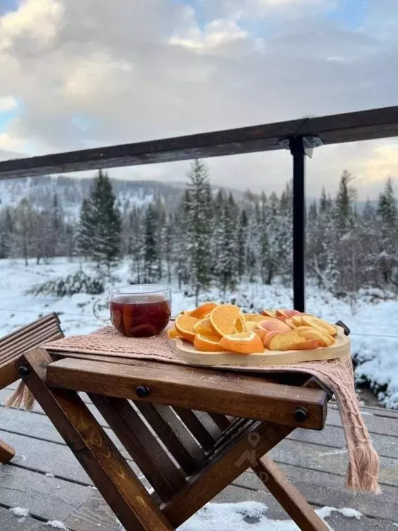Дом в Алтай, Шебалинский район, с. Топучая  (28 м) - Фото 2
