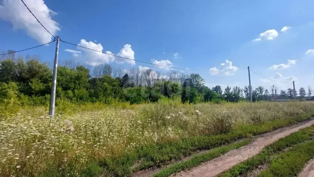 Участок в Белгородская область, Строитель Яковлевский городской округ, ... - Фото 1