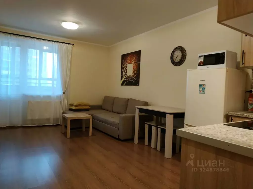 Студия Санкт-Петербург пос. Парголово, Заречная ул., 11к2 (28.0 м) - Фото 2