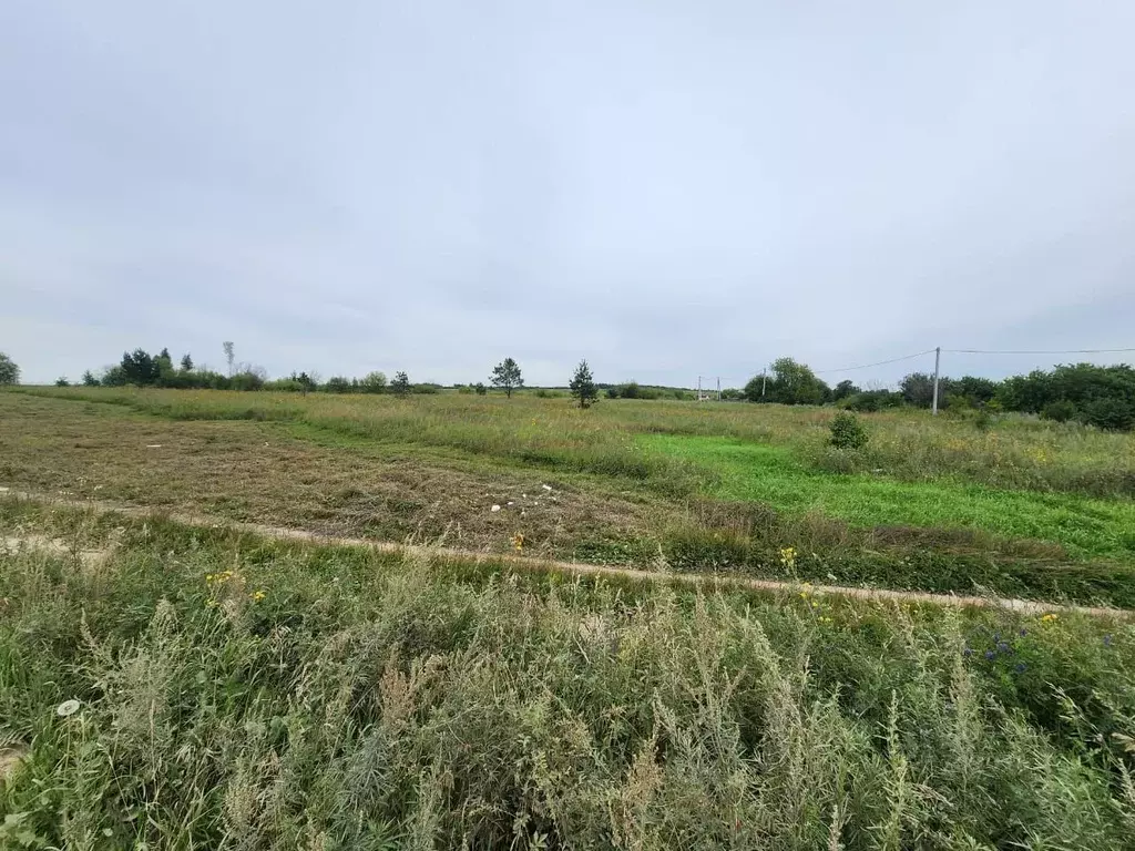 Участок в Амурская область, Благовещенский район, пос. Вадимово  ... - Фото 1