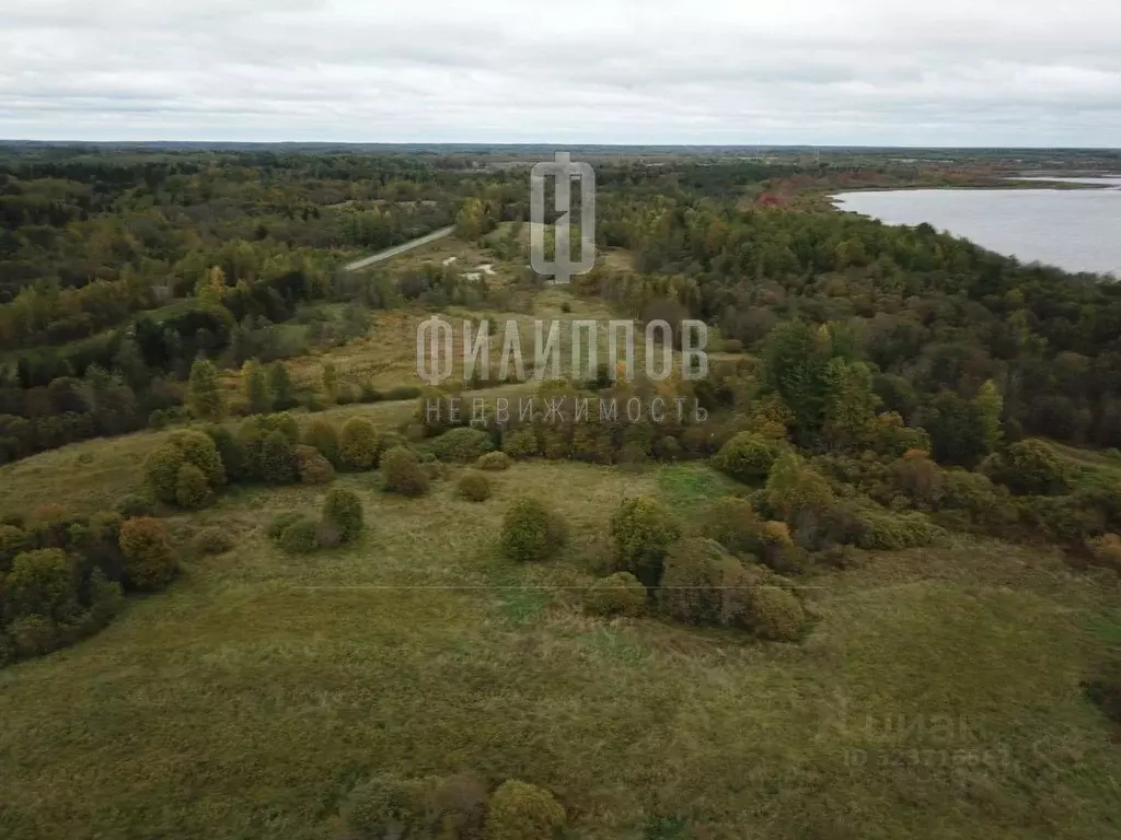 Участок в Новгородская область, Боровичский район, Железковское с/пос, ... - Фото 2