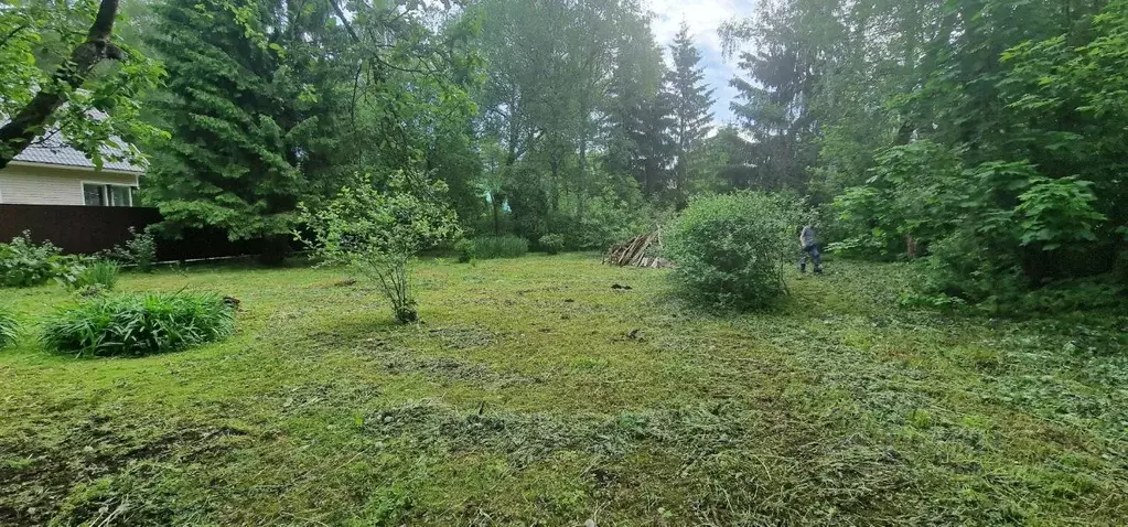 Участок в Московская область, Дмитровский городской округ, Объединения ... - Фото 1