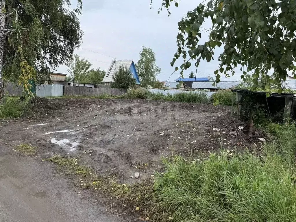 Участок в Тюменская область, Тюмень Домостроитель СНТ, ул. Хризантема ... - Фото 2