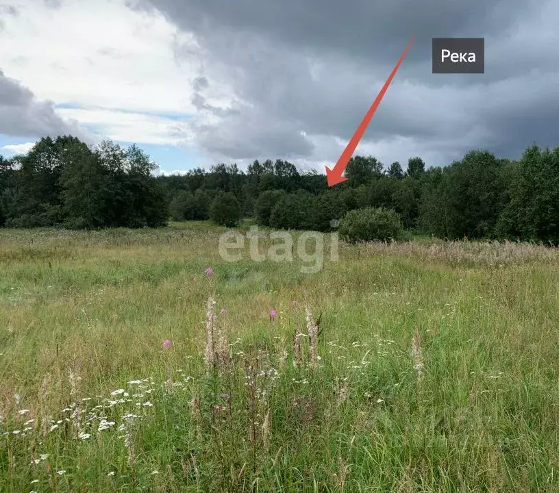 Участок в Тверская область, Калининский муниципальный округ, д. ... - Фото 2