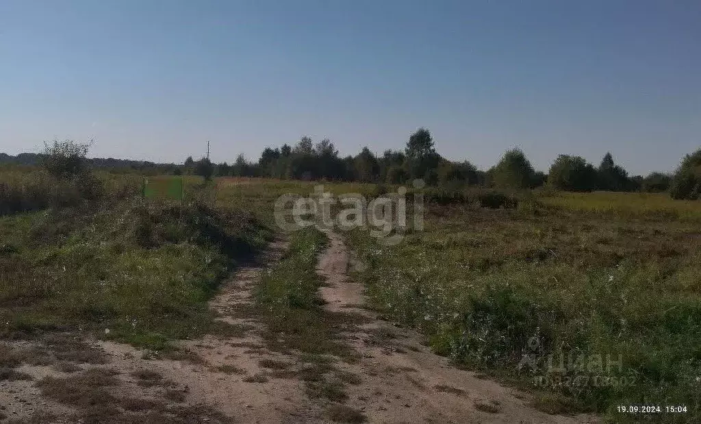 Участок в Калининградская область, Зеленоградск пос. Сосновка, ул. ... - Фото 2