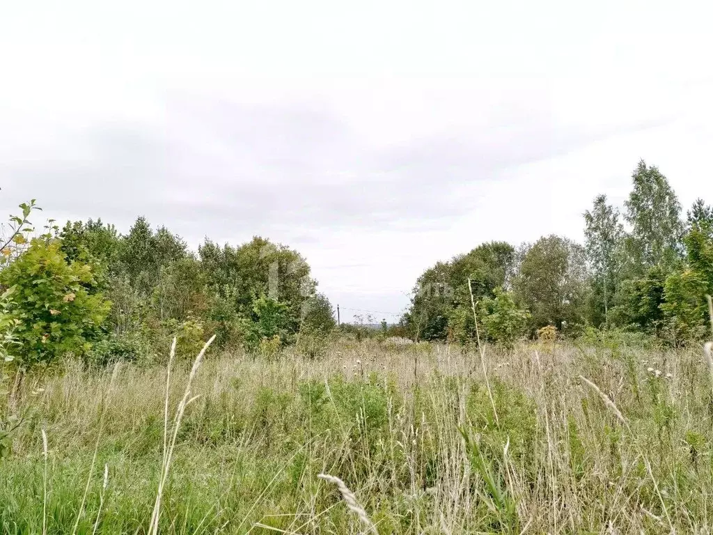 Участок в Ленинградская область, Ломоносовский район, Оржицкое с/пос, ... - Фото 1