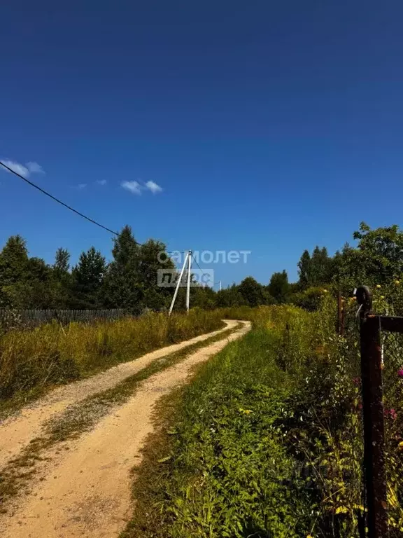 Участок в Ярославская область, Рыбинский муниципальный округ, д. ... - Фото 2