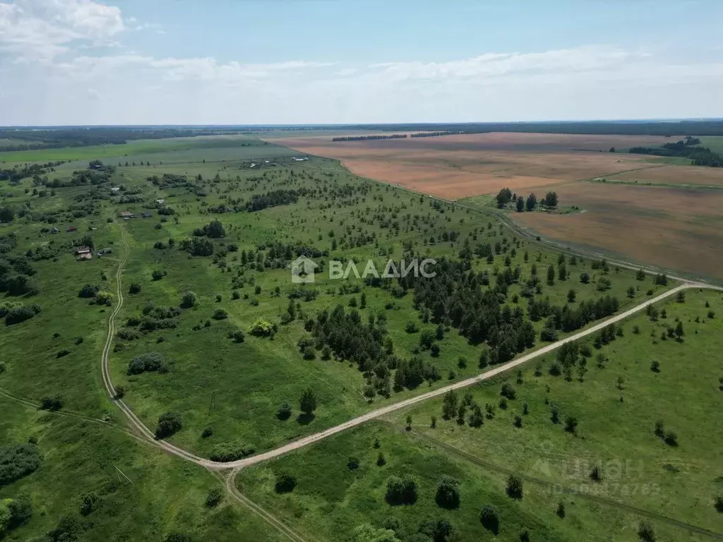 Участок в Пензенская область, Шемышейский район, д. Малыгино ул. ... - Фото 1