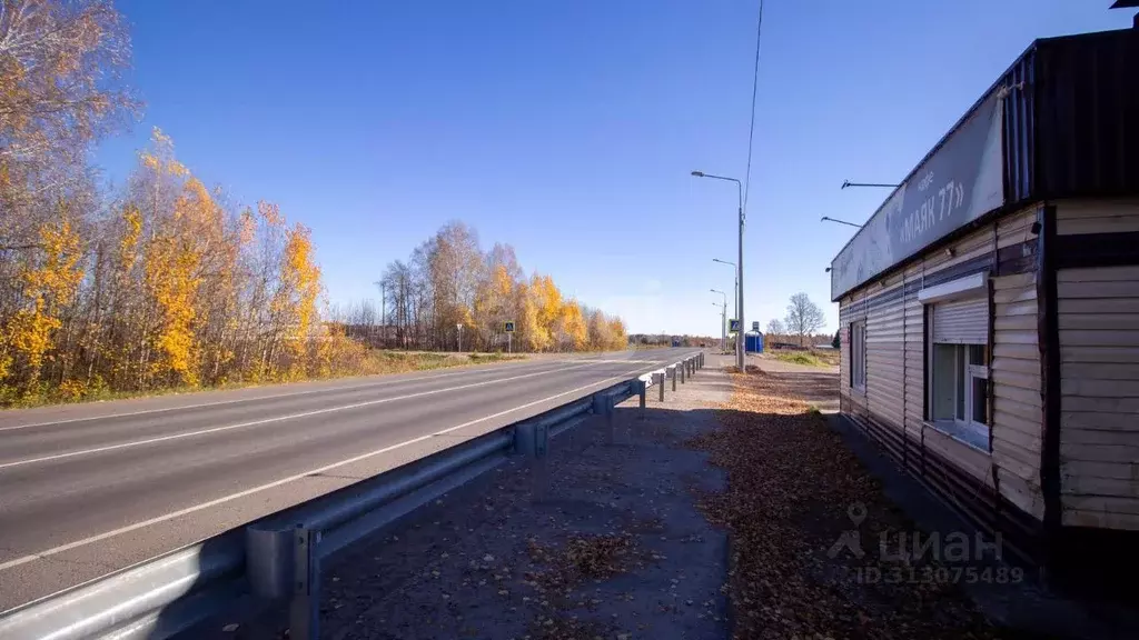 Помещение свободного назначения в Томская область, Шегарский район, с. ... - Фото 0