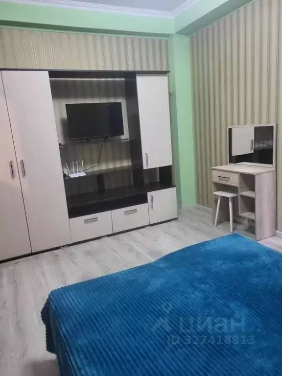 1-к кв. Краснодарский край, Сочи Пластунская ул., 194/6 (25.0 м) - Фото 2