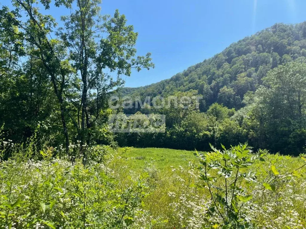 Участок в Краснодарский край, Туапсинский муниципальный округ, ... - Фото 2