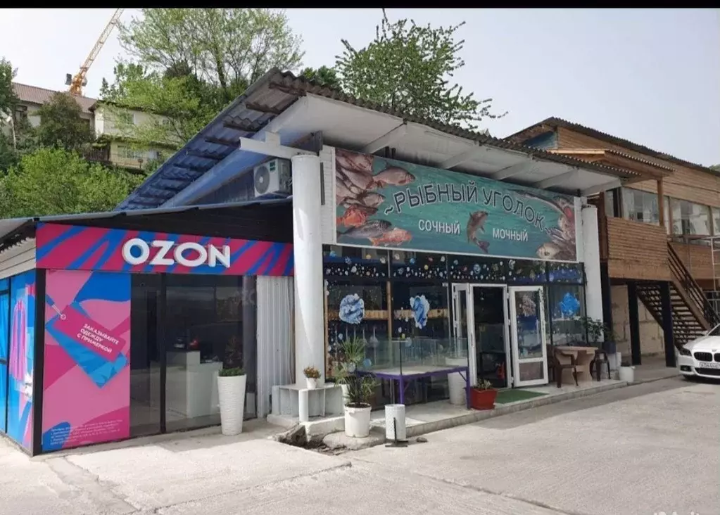 Помещение свободного назначения в Краснодарский край, Сочи ул. ... - Фото 1