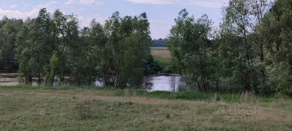 Участок в Новосибирская область, Новосибирский район, Морской ... - Фото 1