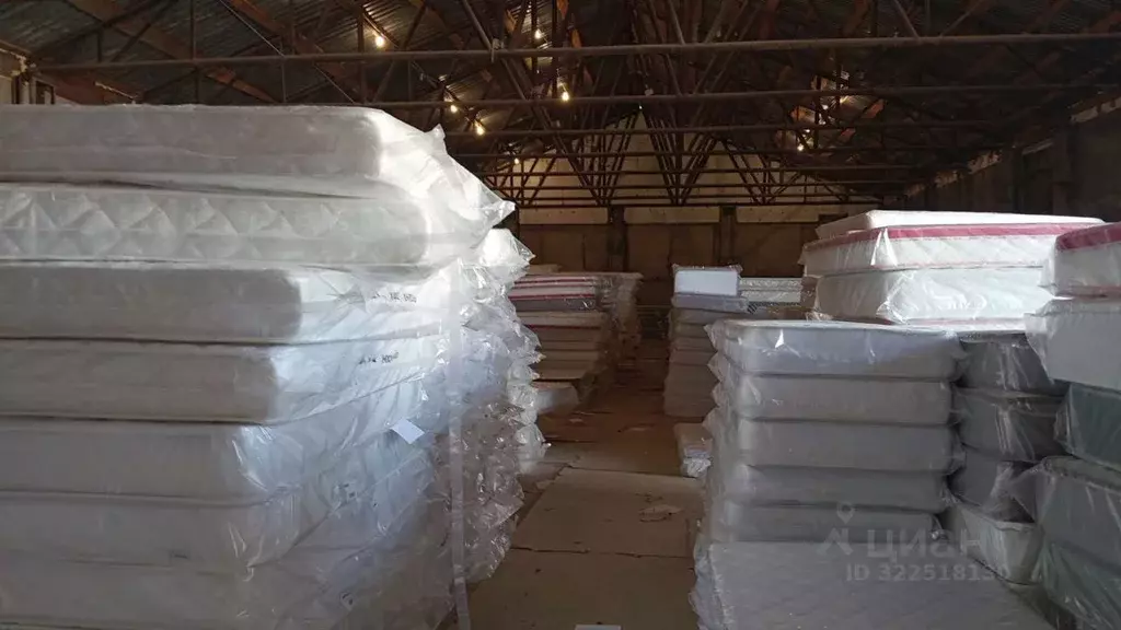 Склад в Новосибирская область, Новосибирск ул. Палласа, 29 (610 м) - Фото 2