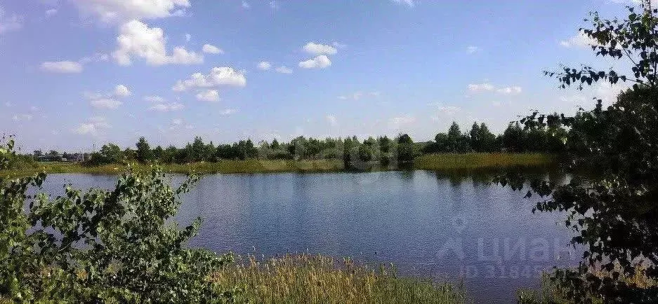 Участок в Нижегородская область, Бор муниципальный округ, д. Шубино ... - Фото 0