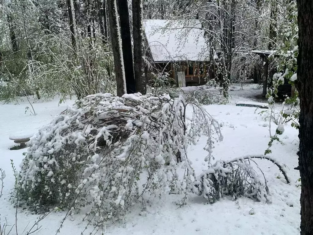 Дом в Московская область, Мытищи городской округ, пос. Трудовая ул. ... - Фото 1