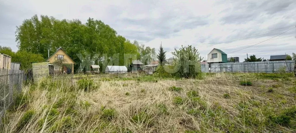 Участок в Новосибирская область, Бердск Вега-3 СНТ,  (5.1 сот.) - Фото 1